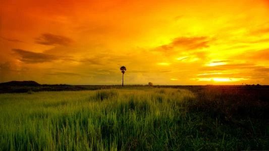 按钮凹陷效果_qt按钮去掉凹陷_如何去除凹陷