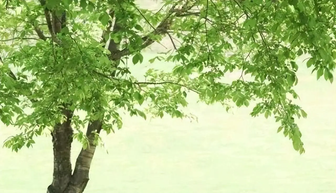 白血病晚期能活多久_晚期白血病活多久_晚期的白血病患者能活多久