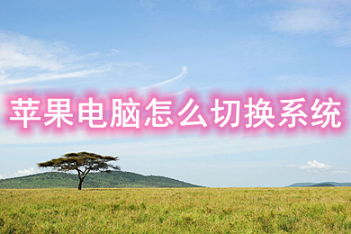 Mac 双系统切换到 Win：体验与技巧分享