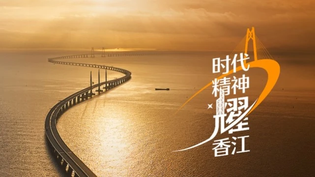 杭州绿云集团：城市中的绿色奇迹，生态建设的璀璨之星