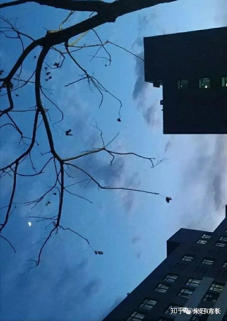 ShopNC 摸爬滚打时光：从小白到高手的成长之路