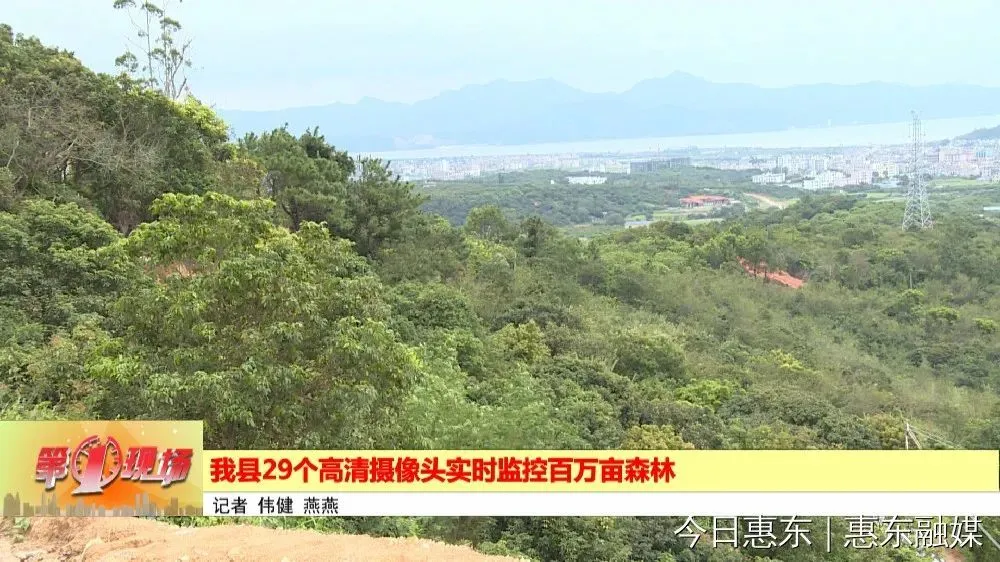 道路实时监控摄像头：默默守护安全，引发隐私争议