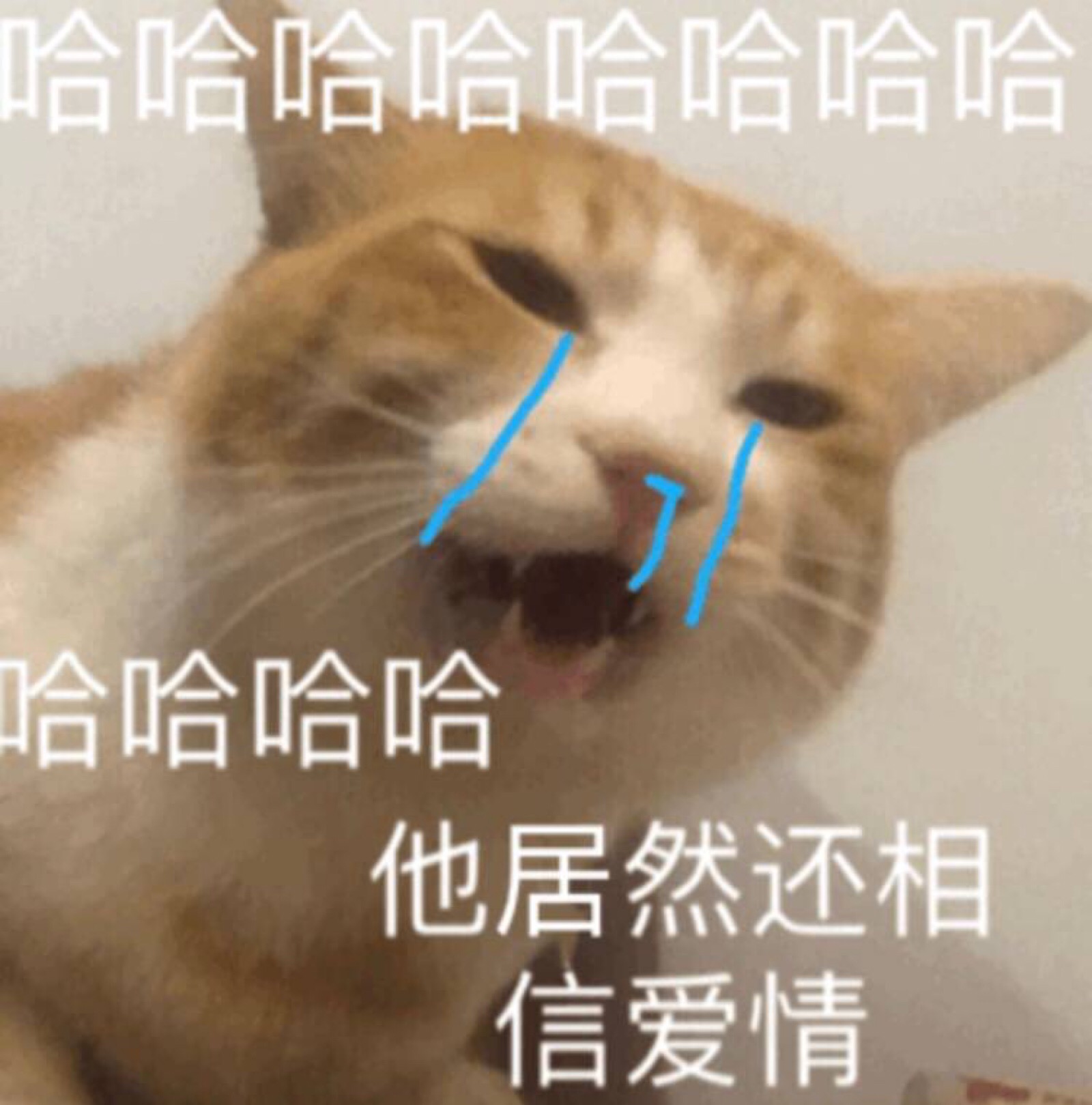 哎呀妈呀！手滑误删文件，心血瞬间归零，比失恋还难受