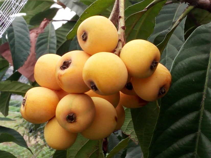 真实身份正号码姓名_真实姓名证件号_身份证真实姓名及号码