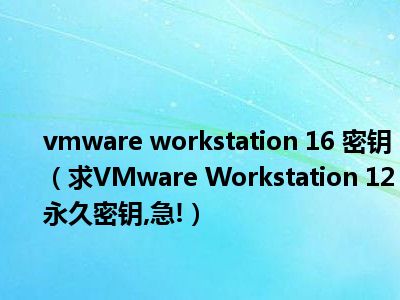 vmware workstation 10密钥查询_windows11密钥查询_联想密钥查询