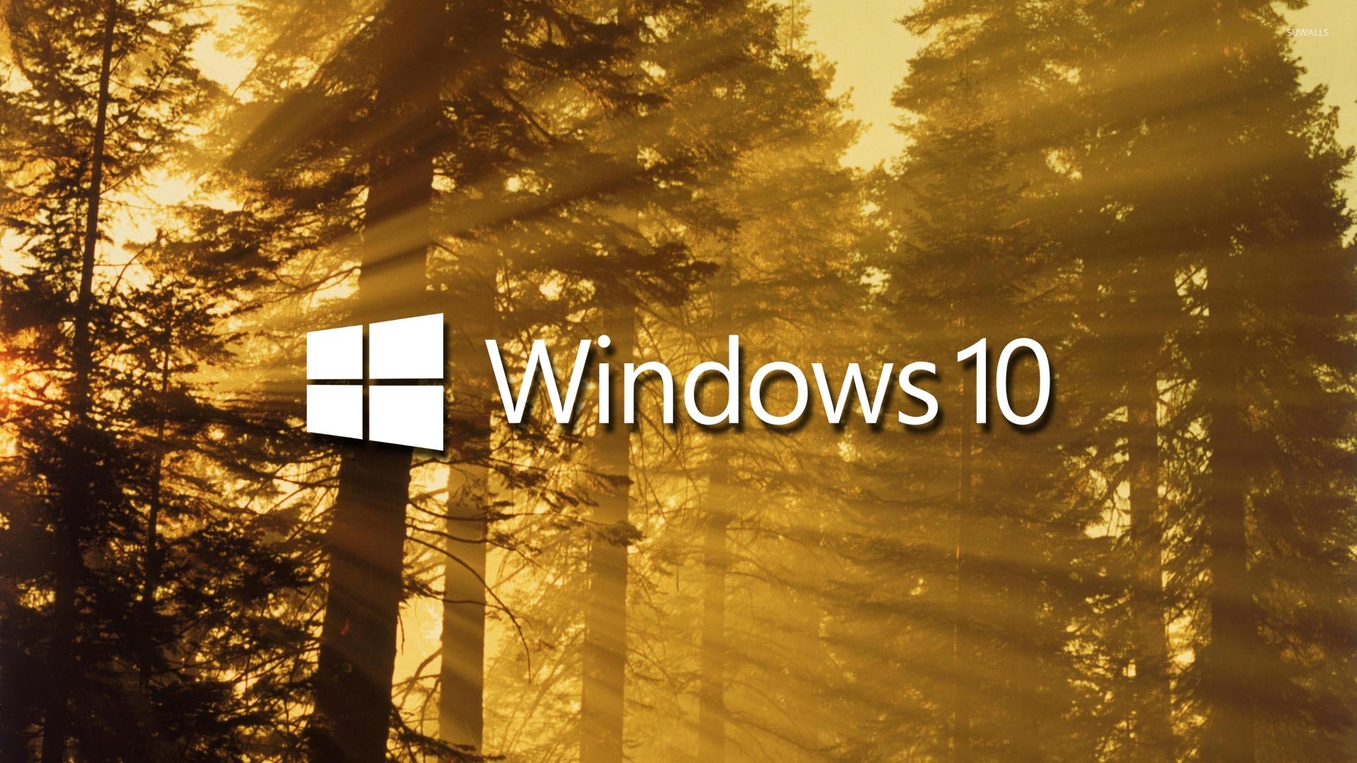 升级尝鲜_windows phone 8.1升级win10_升级打装备的手游