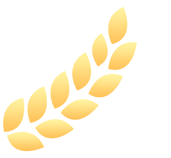 Win8 之家官网：简洁现代设计，实用文章宝库，温暖社区归属感