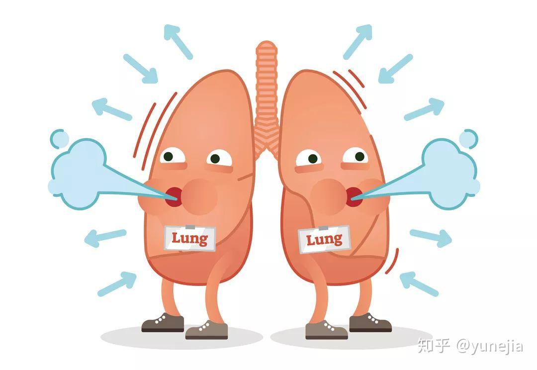 小儿哮喘发病机制_小儿哮喘视频教程_小儿哮喘发病视频