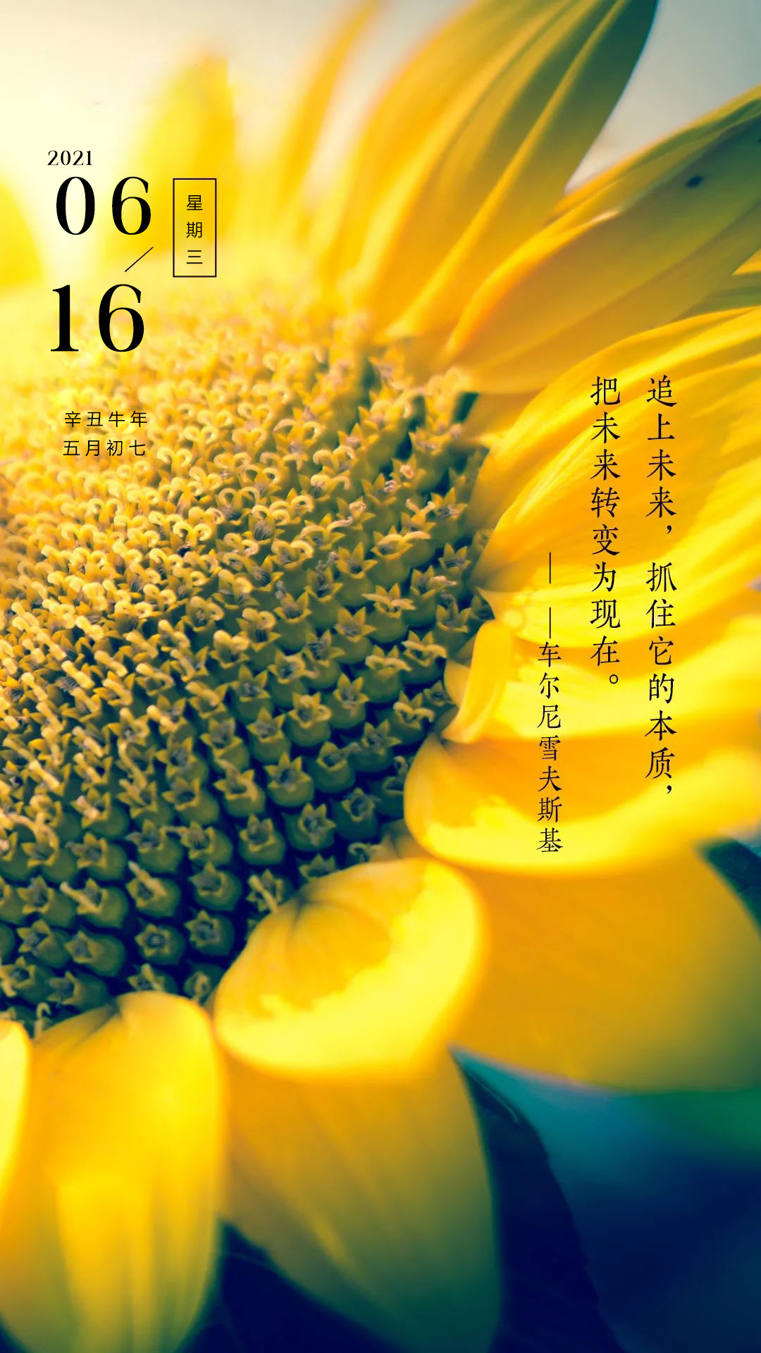 w764位_w764位_w764位