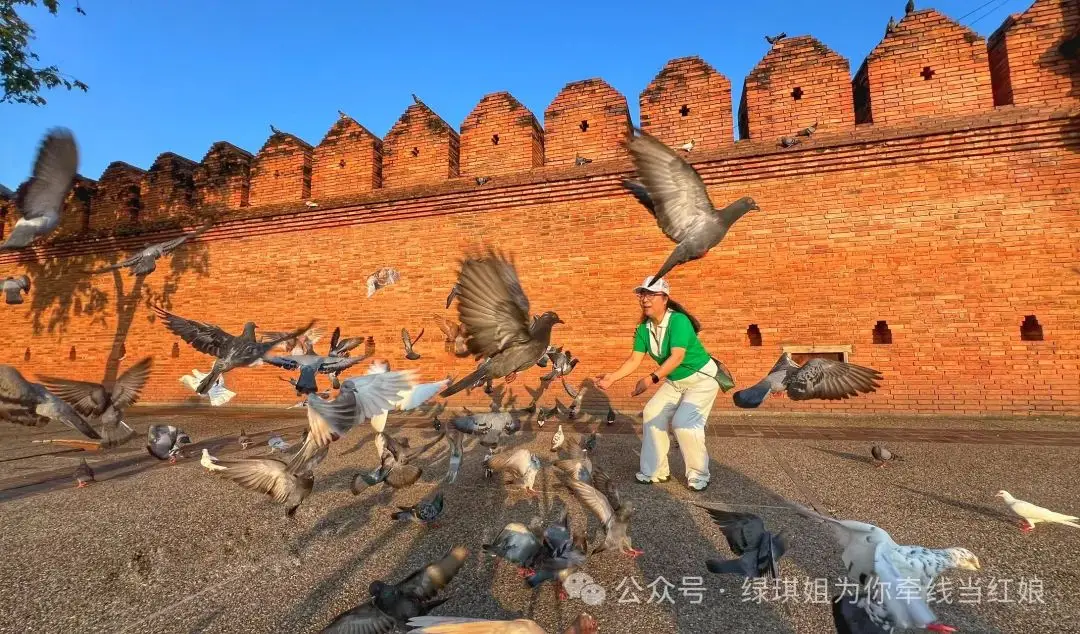 微博热搜_accelostorder微博_微博网页版