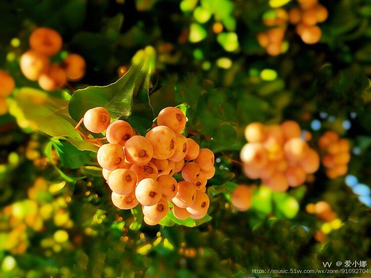 win7 您需要权限来执行此操作_操作权限管理_操作权限设置