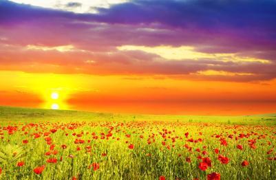 浸润型肺结核能自愈吗_肺能浸润结核自愈型肺癌吗_肺能浸润结核自愈型病变吗