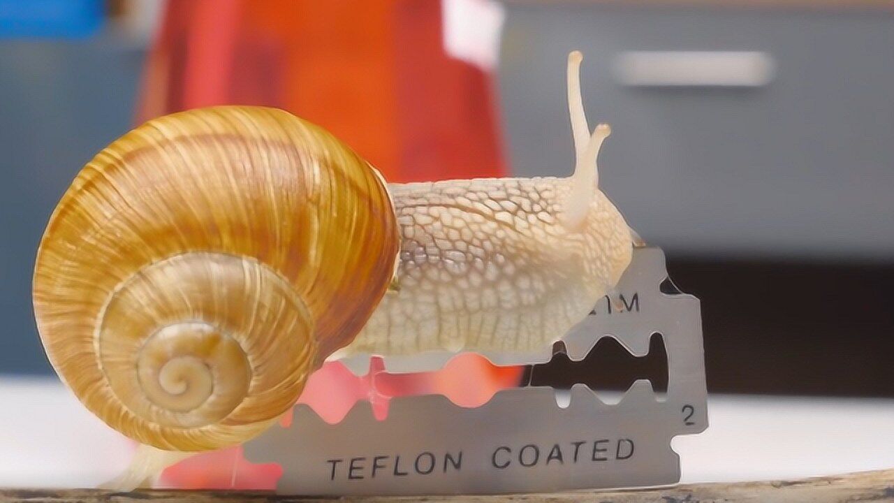 重装电脑系统步骤u盘_电脑重装系统u盘启动步骤_u重装电脑系统步骤