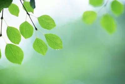 免费恢复内存卡数据软件_龙腾数据恢复软件 注册码_免费恢复u盘数据软件