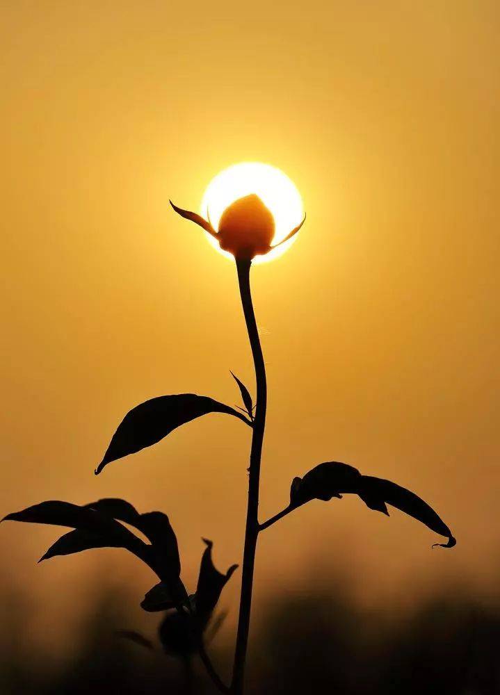 朝阳市第二医院招聘，改变命运的机会等你来