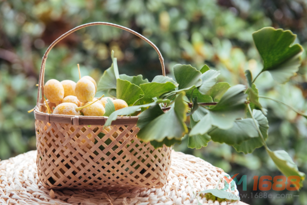 kb948465 下载：电脑问题的救星，让你的电脑速度飞快