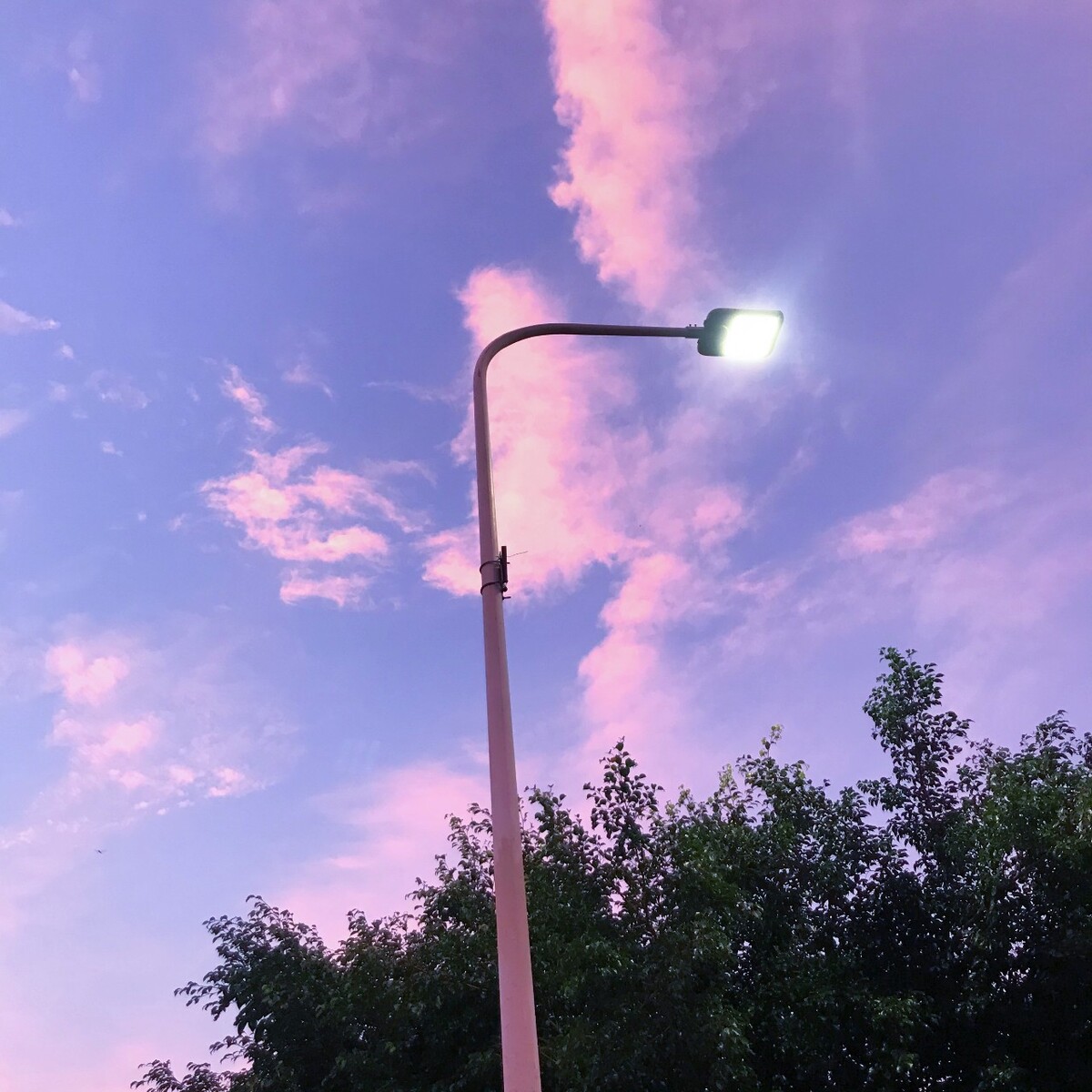 MapInfo：城市探险家的秘密武器，带你透视城市脉络