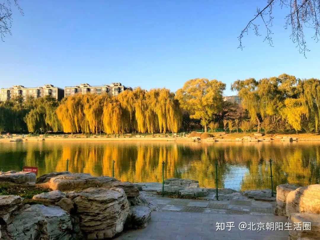 朝阳区三间房医院电话_朝阳医院本部医院电话_朝阳医院本部电话号码查询