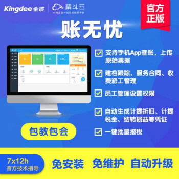 金蝶 Kis 标准版 V9.1：财务小助手，稳定高效，数据无忧