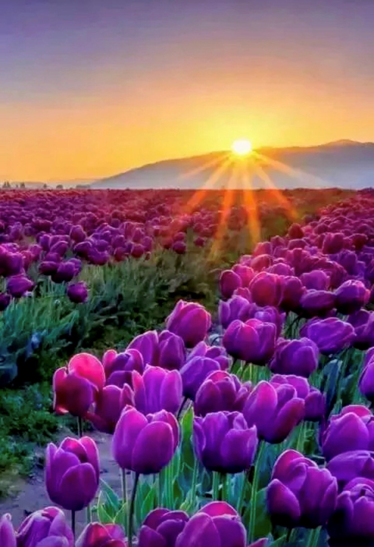 停止运行什么意思_停止运行快捷键_setup.exe停止运行