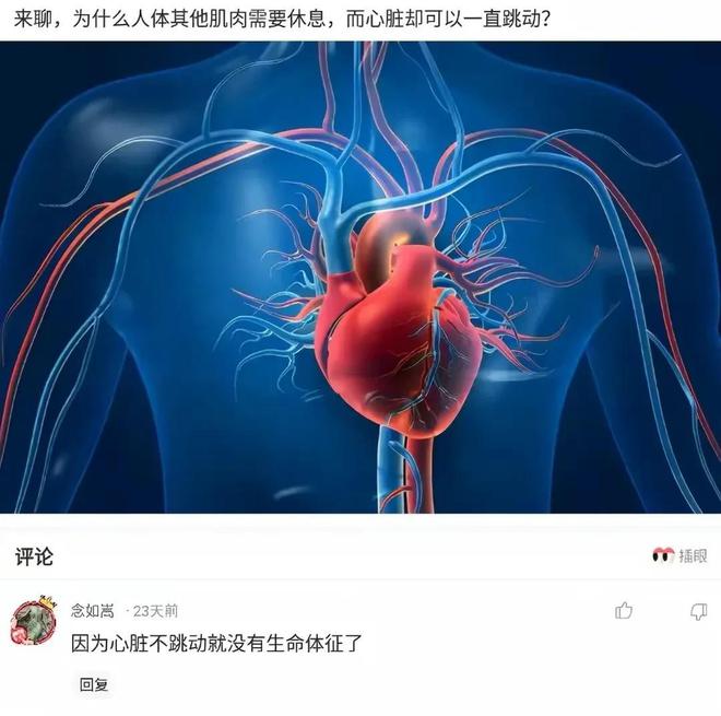 冠心病护理计划单范文_冠心病护理计划怎么写_冠心病的护理计划表