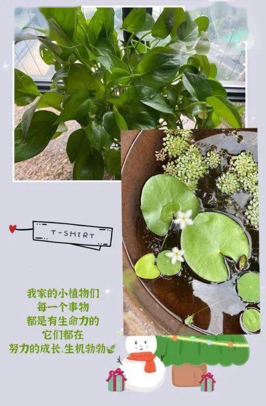 洗衣液现在什么牌子好_洗衣液灌装机设备_breeze洗衣液