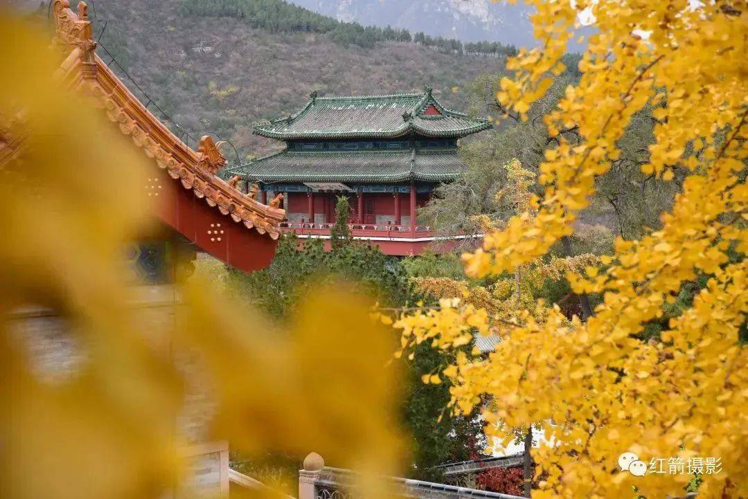 河南省洛阳市身份证前六位查询_河南洛阳18岁身份证号大全_河南洛阳身份证开头是多少