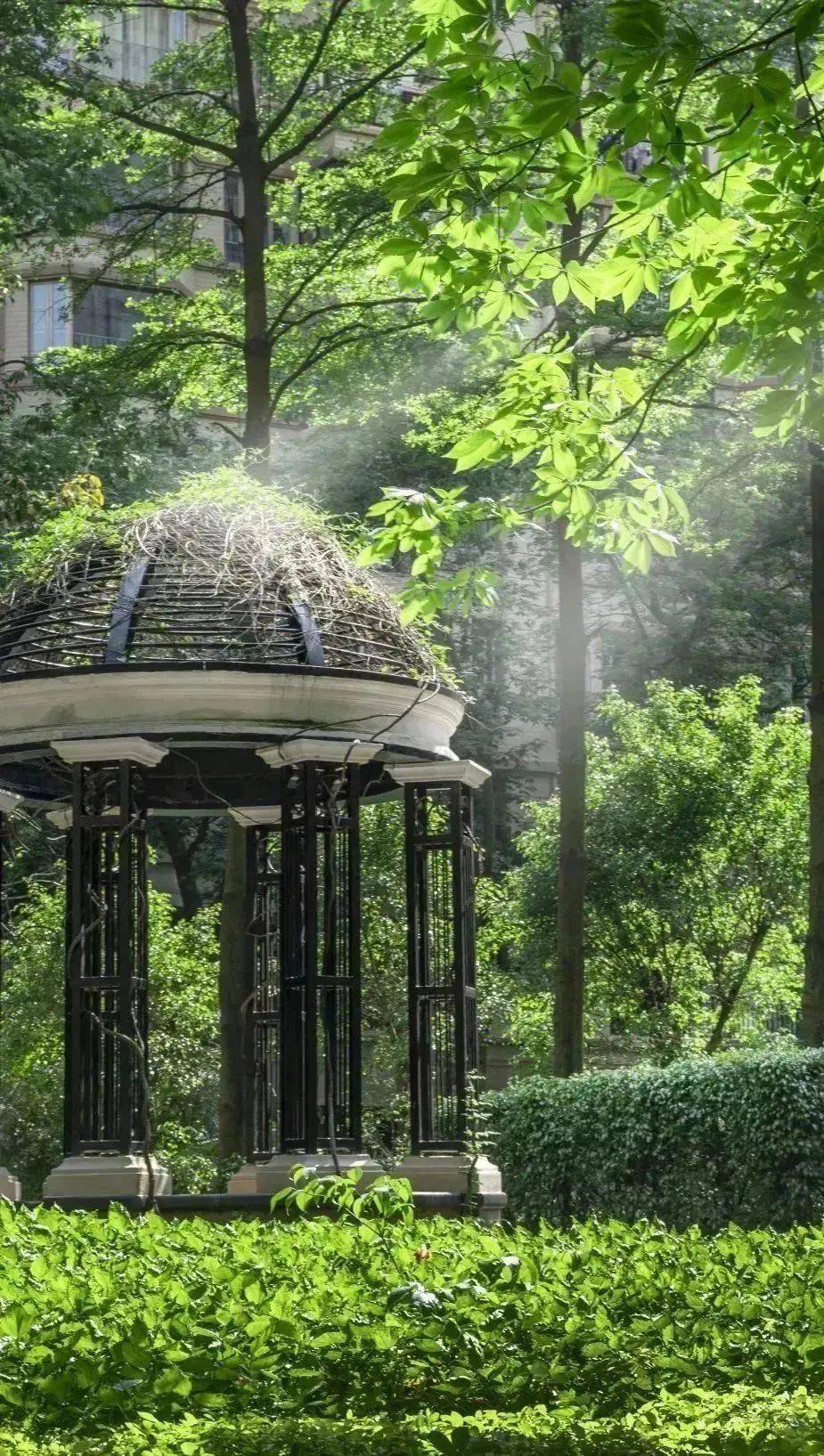 泰州乔园好玩吗_泰州乔园导览图_泰州乔园 宾馆