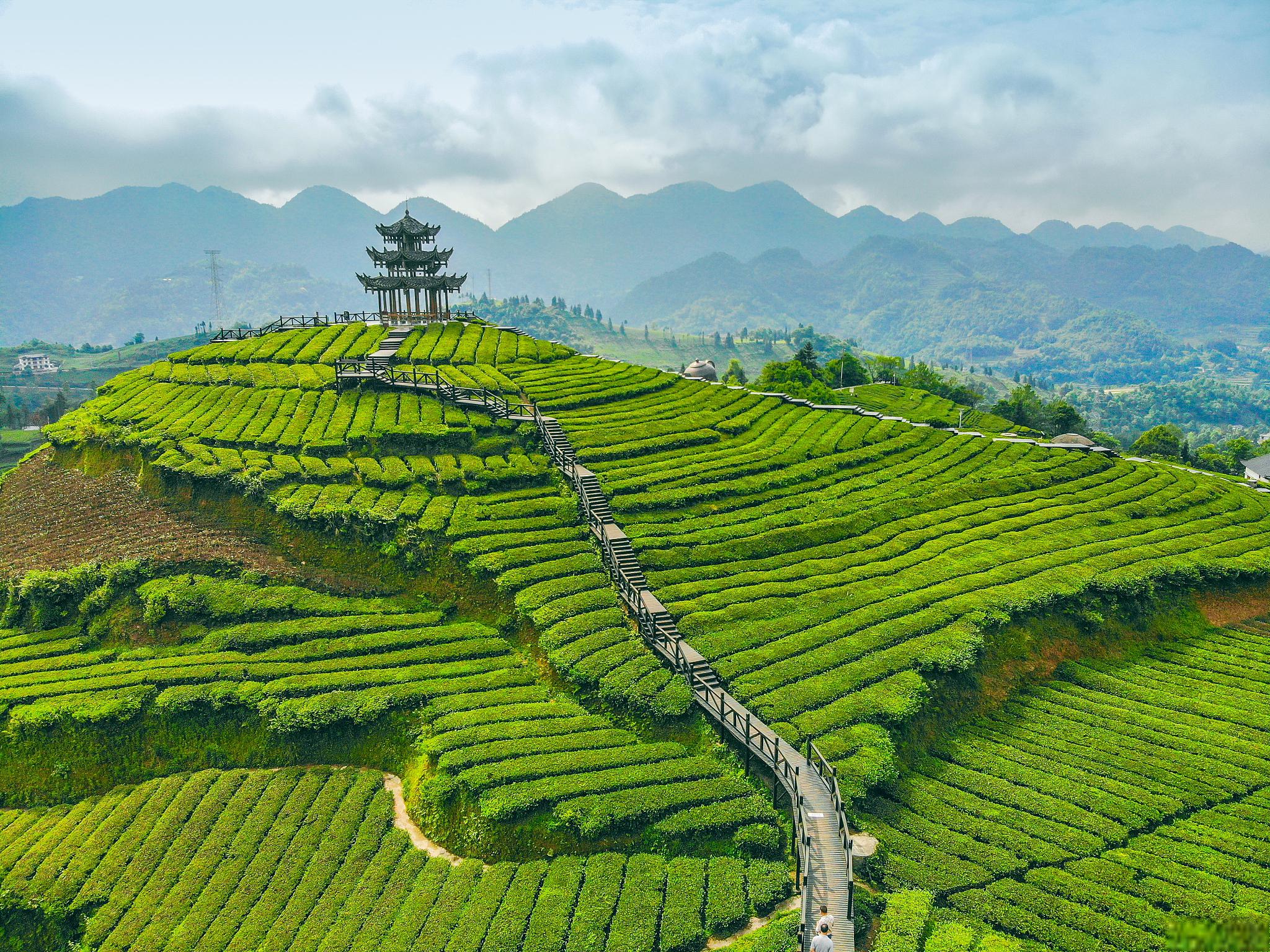 泰州乔园好玩吗_泰州乔园导览图_泰州乔园 宾馆