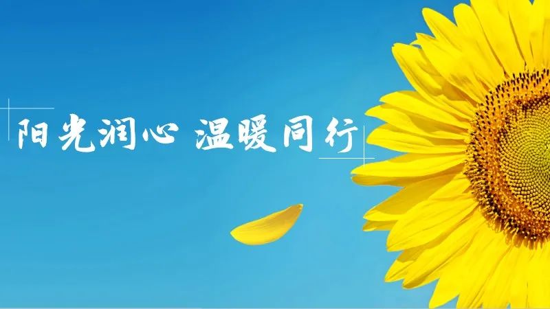 江苏省学籍管理：孩子成长的神秘通行证，守护青春的慈祥守护神
