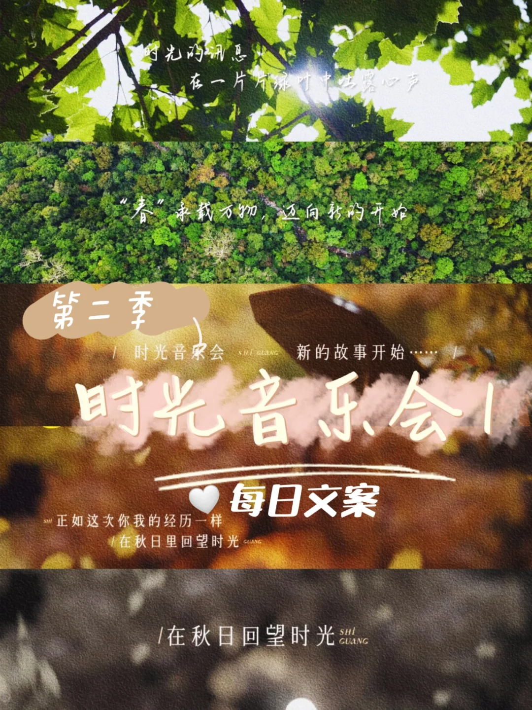 中央 15 音乐频道：每日新旋律，周末音乐会，音乐专题治愈你的耳朵