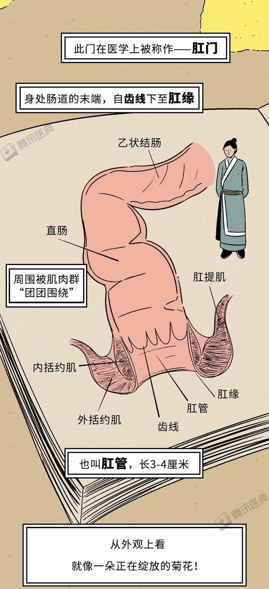 肛门失禁的治疗_肛门失禁的症状 治疗_肛门症状治疗失禁多久能好
