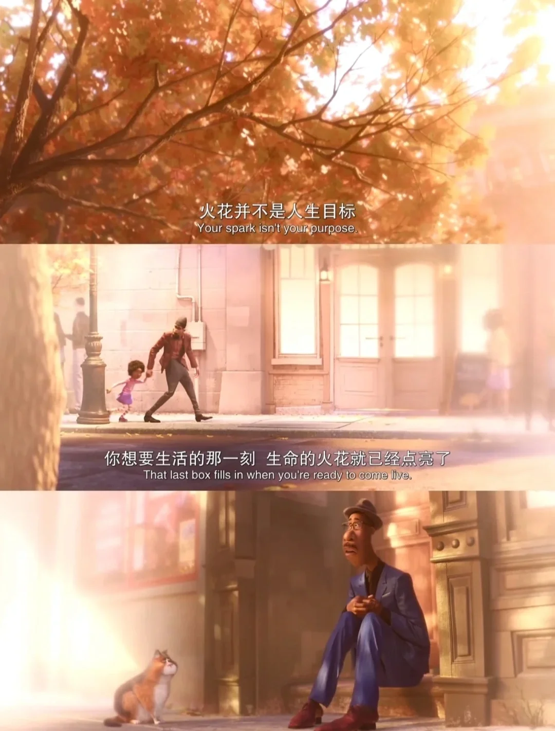 胃病康复论坛：身体与心灵的双重治愈之旅