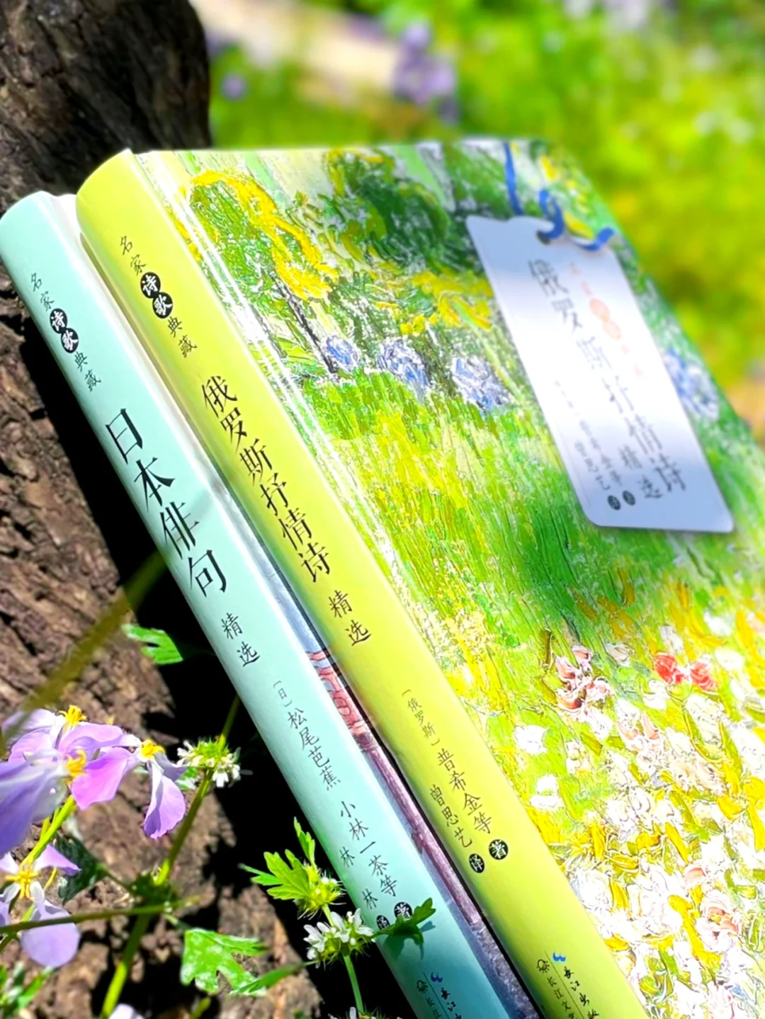 例子怎么写_haiku例子_例子的英文单词