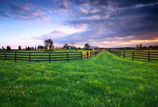 例子的英文单词_例子怎么写_haiku例子