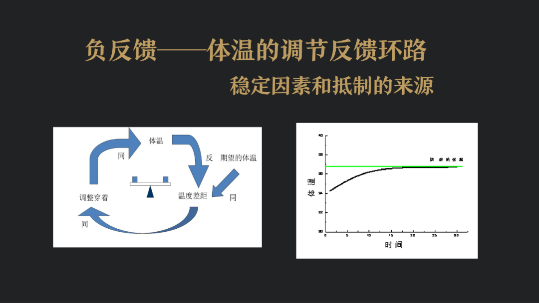 trayexe是什么进程_遗忘的进程是_trayexe是什么进程