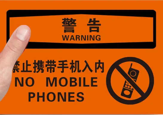 成绩查询身份验证_用身份证查成绩_身份证号能查四级成绩吗