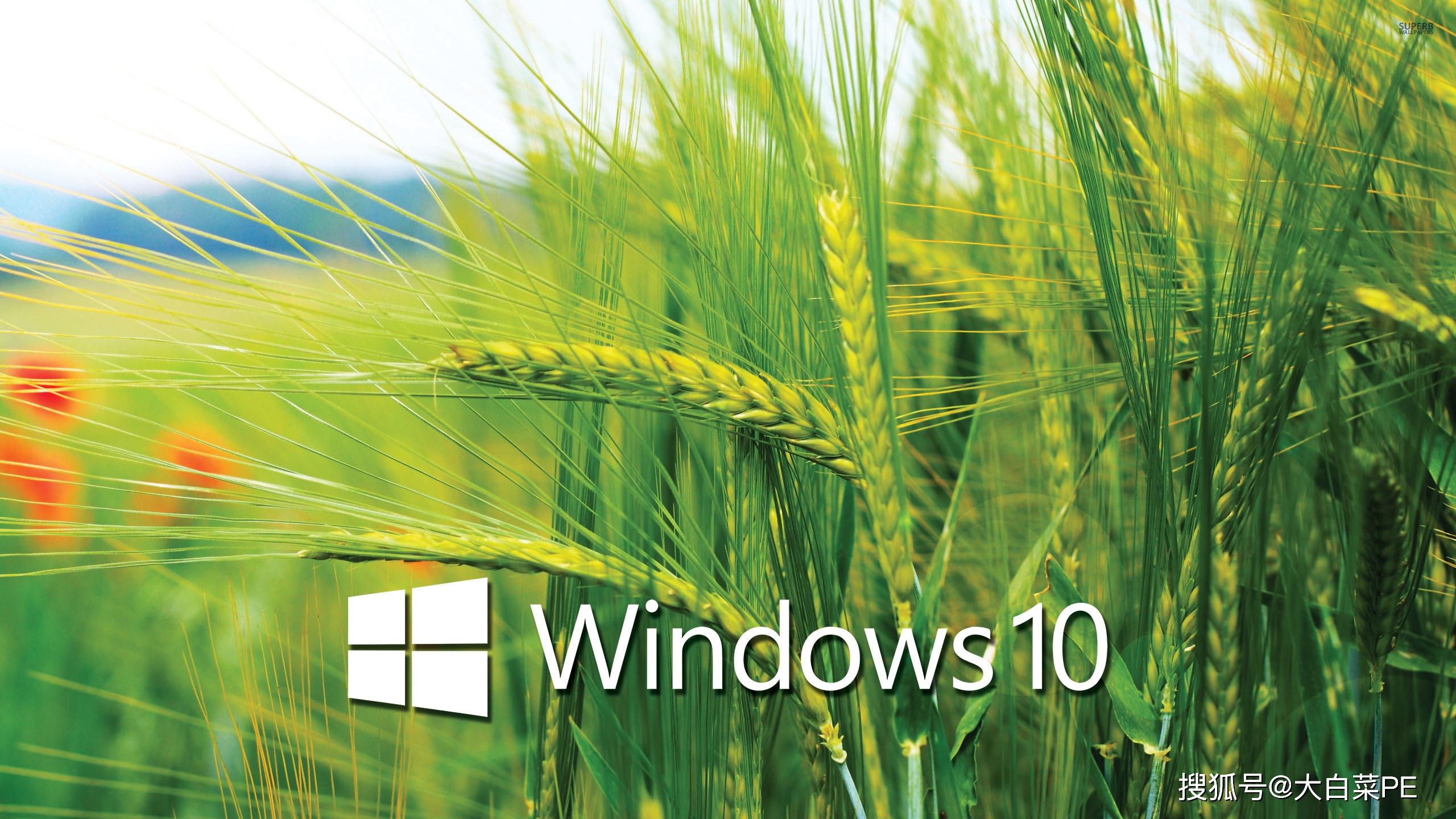 windows104k对齐_win10 4k对齐教程_win104k对齐
