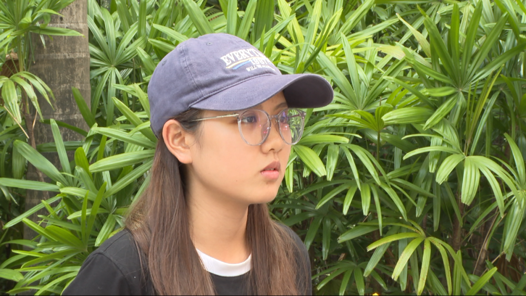 身份证查手机号码_证查号码身份手机号怎么查_身份证号查手机