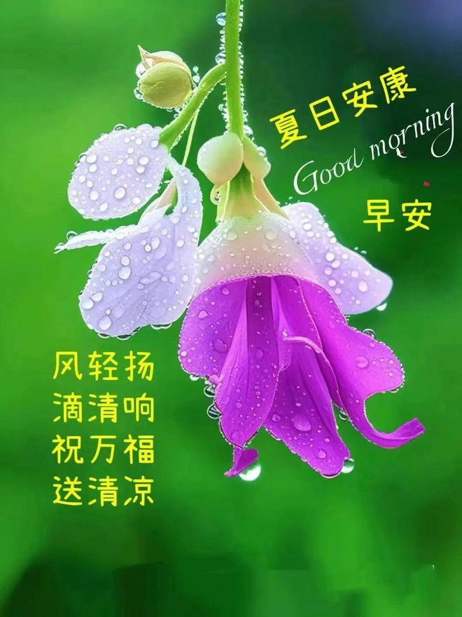 克罗恩症_克氐症显微取精_罗恩克病
