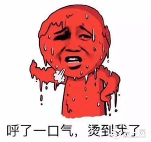 屋顶风机型号常用_dwt i型屋顶风机_屋顶风机型号参数