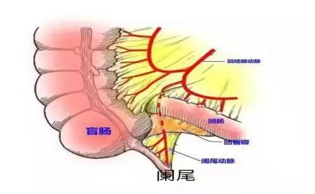 急性阑尾炎术后护理简答题_急性阑尾炎病人的护理填空题_简述急性阑尾炎的护理措施