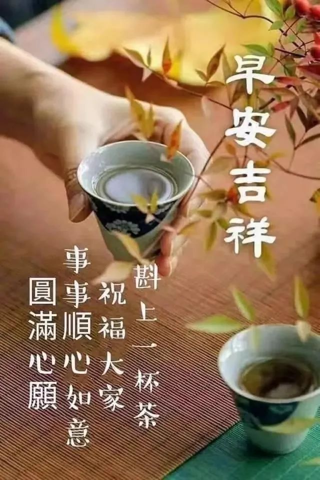 绿云系统下载_绿云系统手机版_绿云系统安装