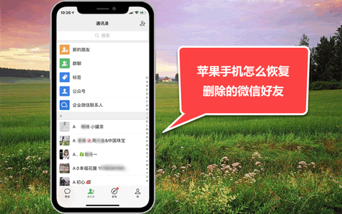免费恢复误删微信聊天记录软件_顶尖微信聊天记录删除恢复软件_恢复微信删除聊天记录的软件