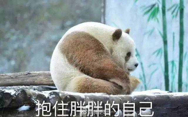 光速恒定是什么意思_光速恒定定律_光速为什么是恒定的