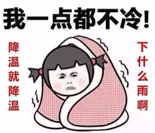 冷冷的