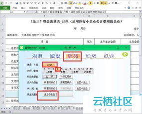 excel 账务系统,高效财务管理的新选择