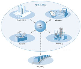 eam系统,企业资产管理的智慧之选