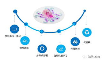 AI系统运营,构建高效智能的未来