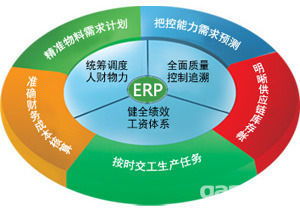 erp系统应用企业,ERP系统在现代企业中的应用与价值